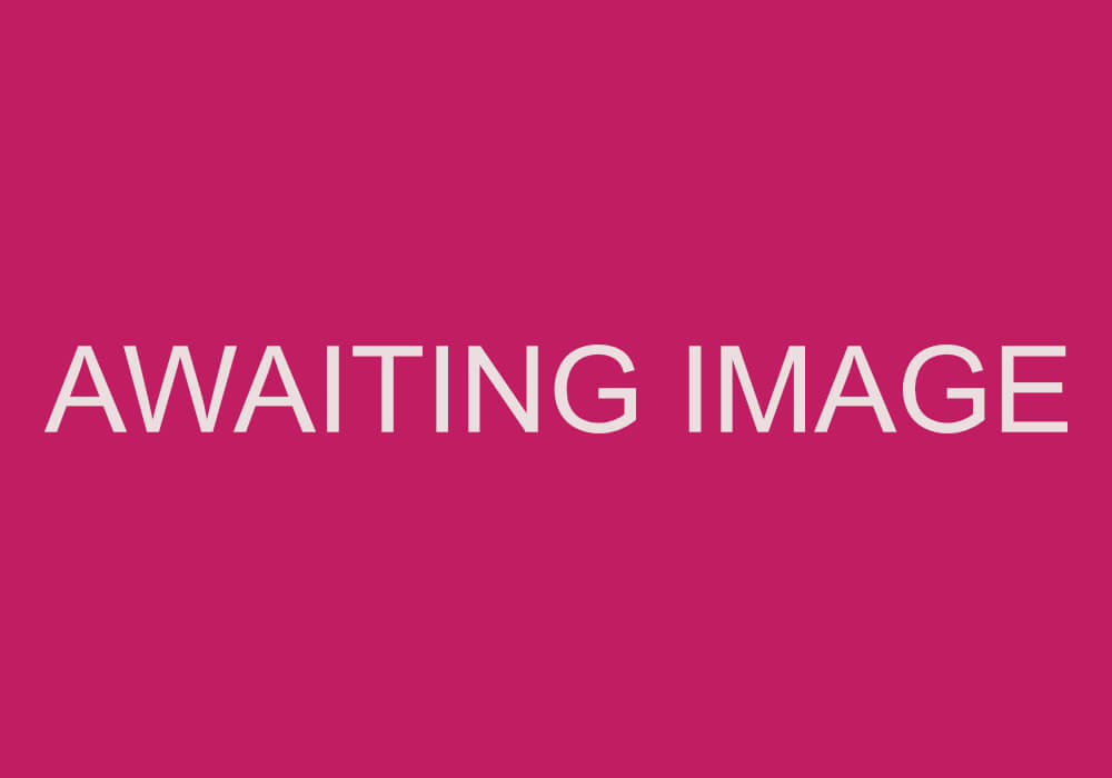 Awaiting Image